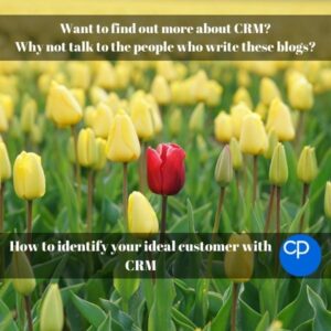 How to identify your ideal customer with CRM title image