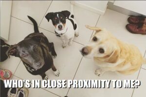Maximizer CRM Proximity Search 03