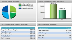 Maximizer Dashboard Cropped