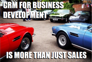 crm for business development