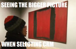 seeing the bigger picture when selecting crm